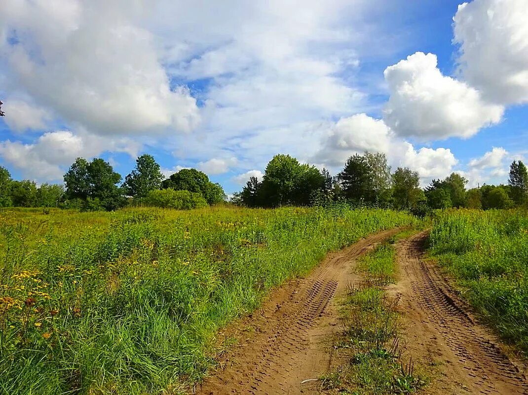 окрестность деревни это. окрестности деревни. окрестности деревни марьина гора архангельская область. окрестности деревни шипухино. деревенские окрестности.