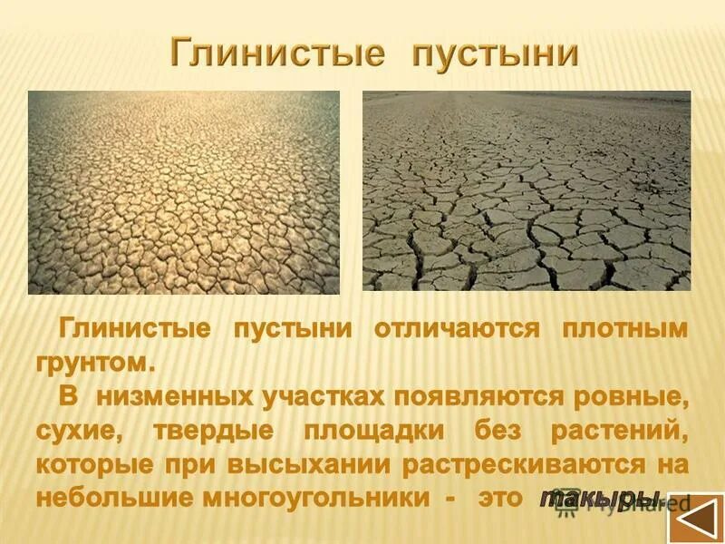 пустыня изо. глинистая почва пустыни россии. презентация урока 4 класс пустыни. окружающий мир пустыни.
