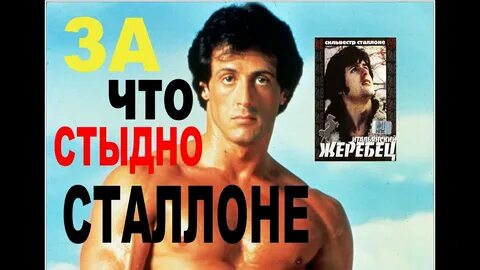 Итальянский жеребец томат описание и отзывы