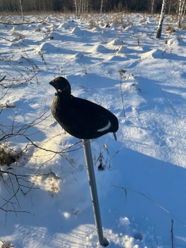 Схемы расстановки чучел уток. Схема расстановки утиных чучел осенью. Расстановка чучел гуся на весенней. Схема расстановки чучел уток на охоте осенью. Расстановка чучел уток осенью на реке.