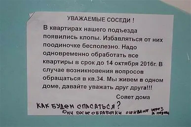 Уважаемые соседи! В нашем доме. Объявление про тараканов соседям. Обращение к соседям. Объявление о тараканах в подъезде.