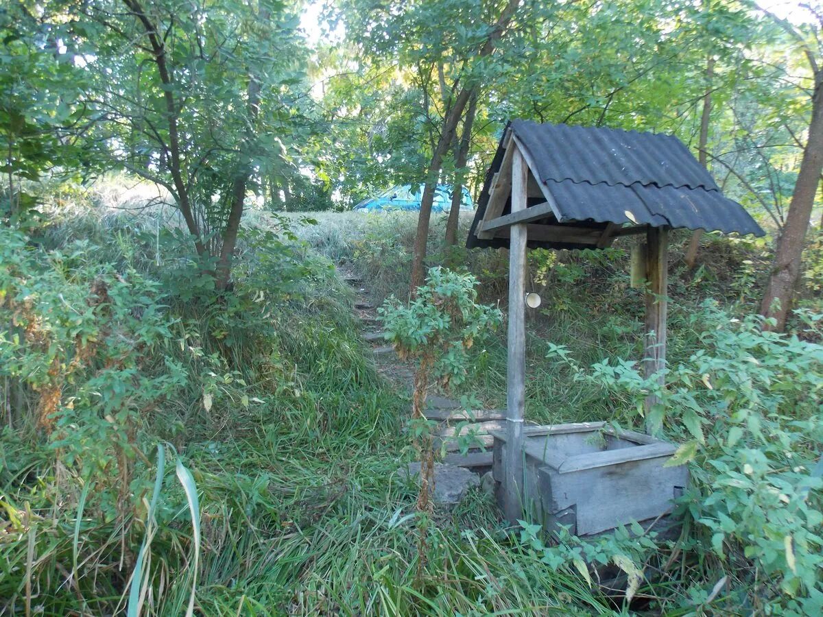 Шагово родники. Родник в Воронежской области. Родник Святой Богородицы Воронеж. Святой источник в Воронежской области. Родник, источник Святой Троицы деревня Матвейково.