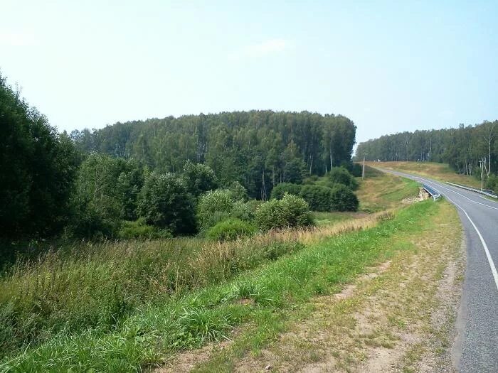 Орша витебск. Iso 400 на солнце. Трасса орша. Транзитной белорусской автотрассы м1. Трасса орша.