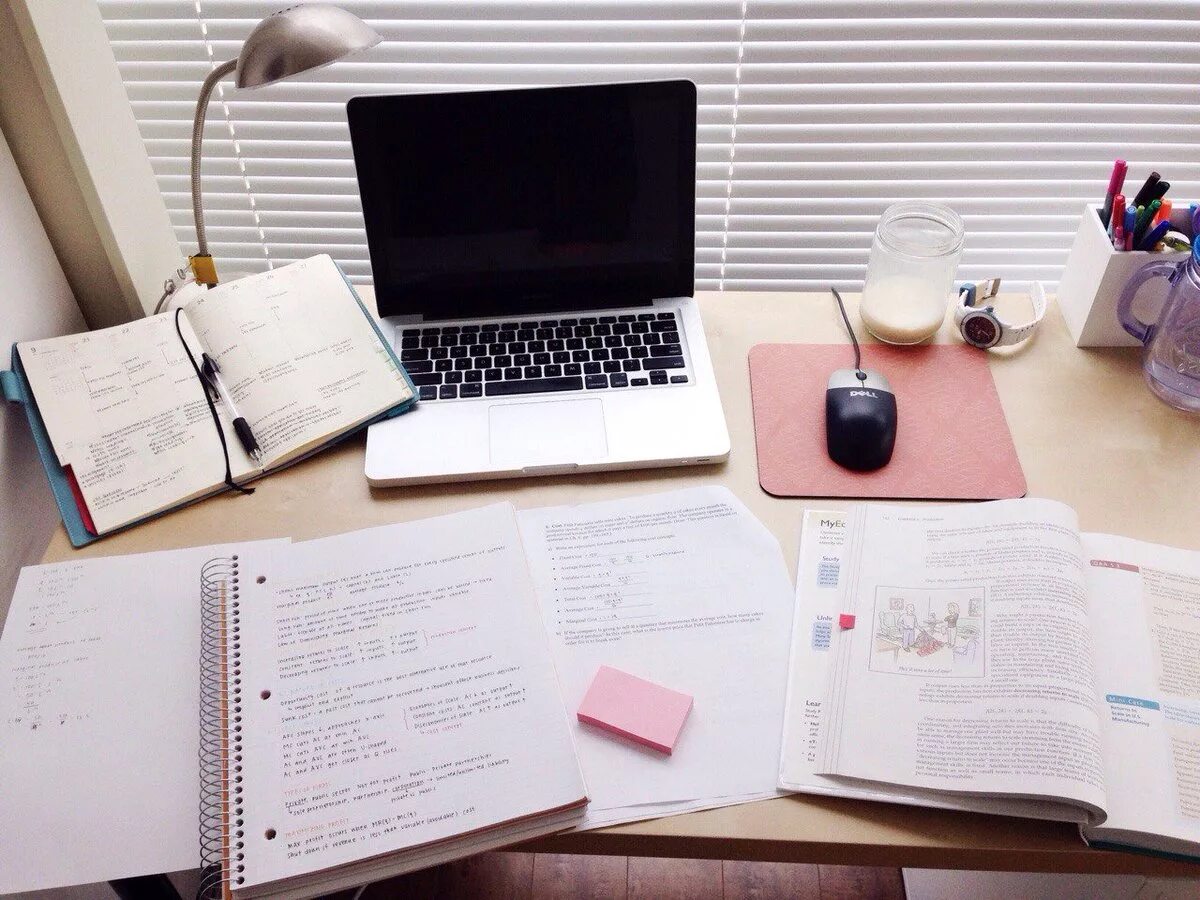 Study with skz