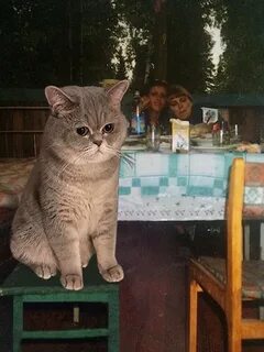 Опездал