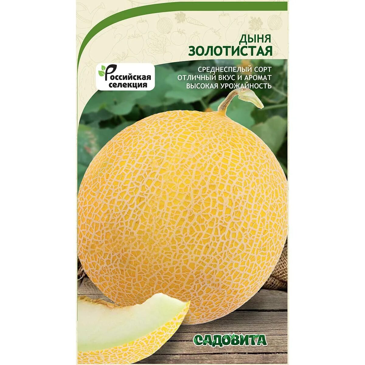 Сорта астраханских дынь. Дыня рыжик сорт. Тыква дынька f1 1г. Ультраскороспелые сорта дыни. Дыня дюна нк.