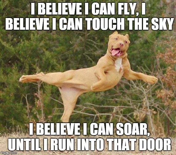 I can believe me песня. I believe i can Fly. I believe i can Fly i believe i can Touch the Sky. I believe i can Fly meme. I believe i can Fly прикол.