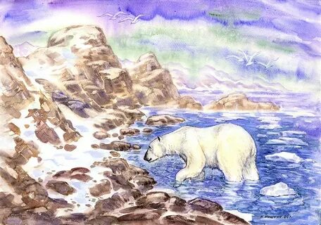 Рисунок арктической пустыни