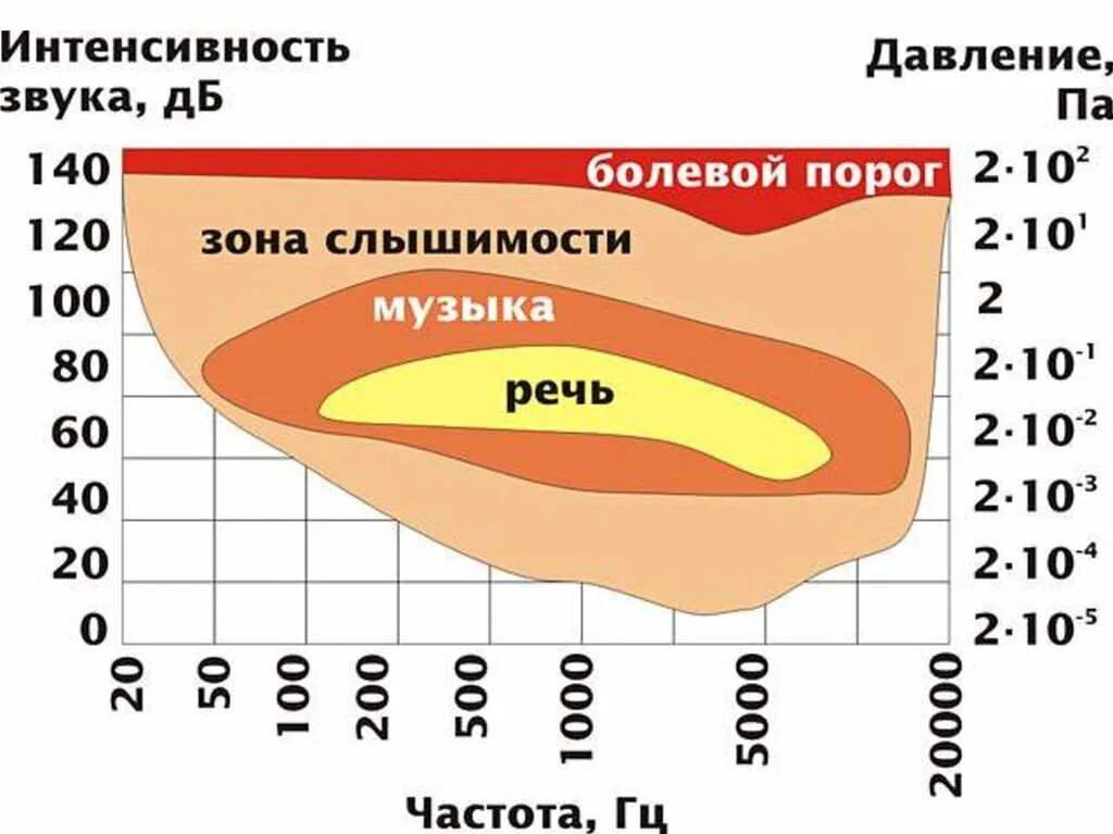 Порог слышимости человека Гц. Порог слышимости звуков человеком. Порок слвшимости человека. Порог слышимости человеческого уха в ДБ. Величина частоты звука