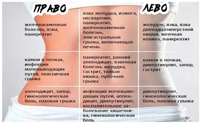 Локализация боли в животе. Низ живота с правой стороны. Низ живота у женщин. Болит справа внизу живота. Болит кишечн к внизу живота.