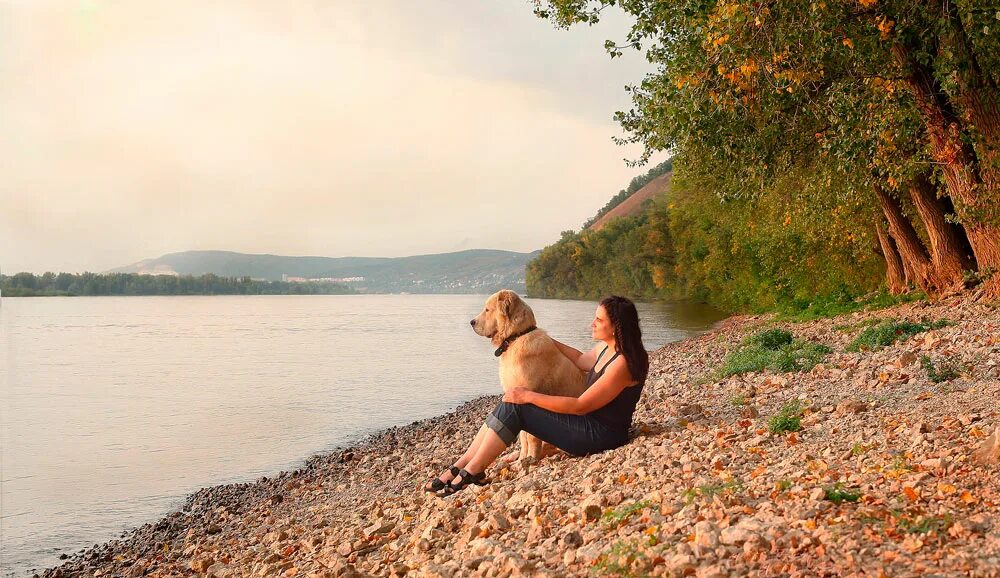 Собака в реке. Маламут. Собака на природе. Фотосессия с собакой у реки. Красивые собаки.