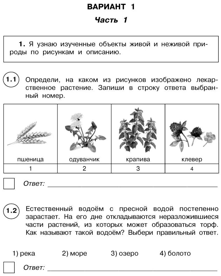 Тест по окр миру впр 4 класс. Пробник ВПР по окружающему миру 4 класс. Задание ВПР по окружающему миру 4 класс с ответами. ВПР окружающий 4 класс 2021 ответы. ВПР 4 класс окружающий мир 2022 с ответами школа России.