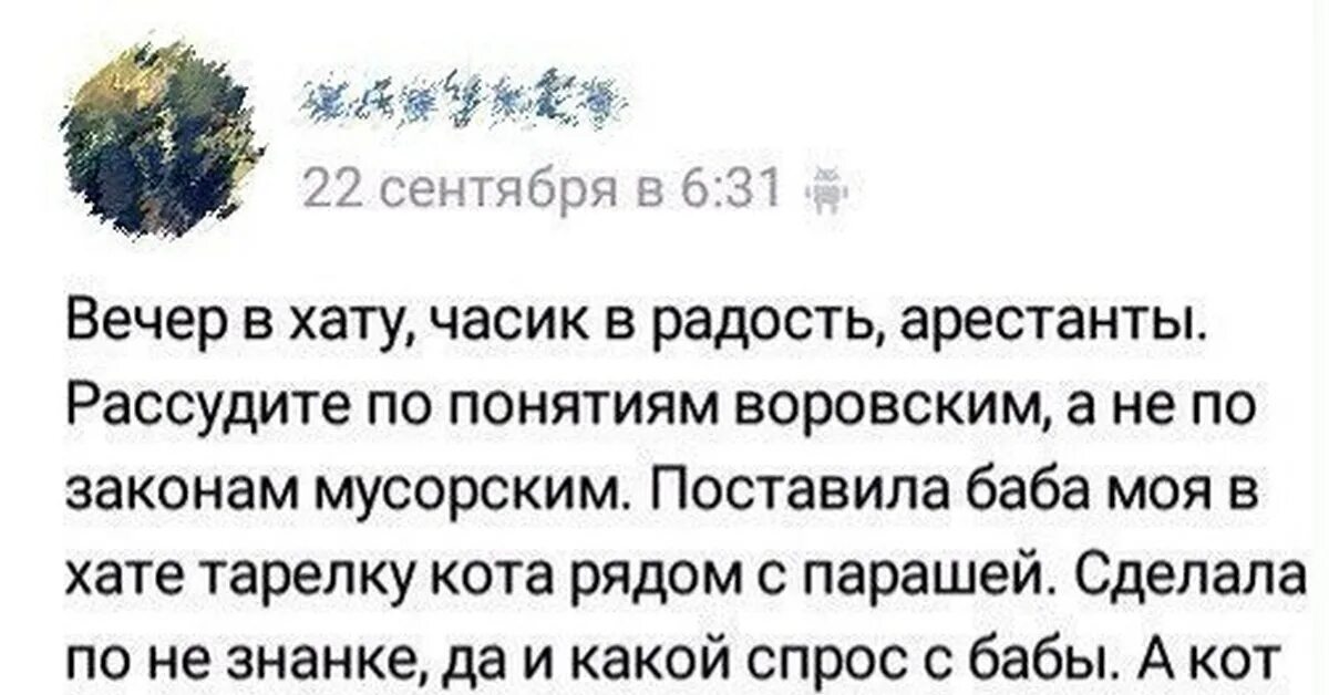 Надо жить по понятиям. Кот зашкваренный. Вечер в хату часик в радость.