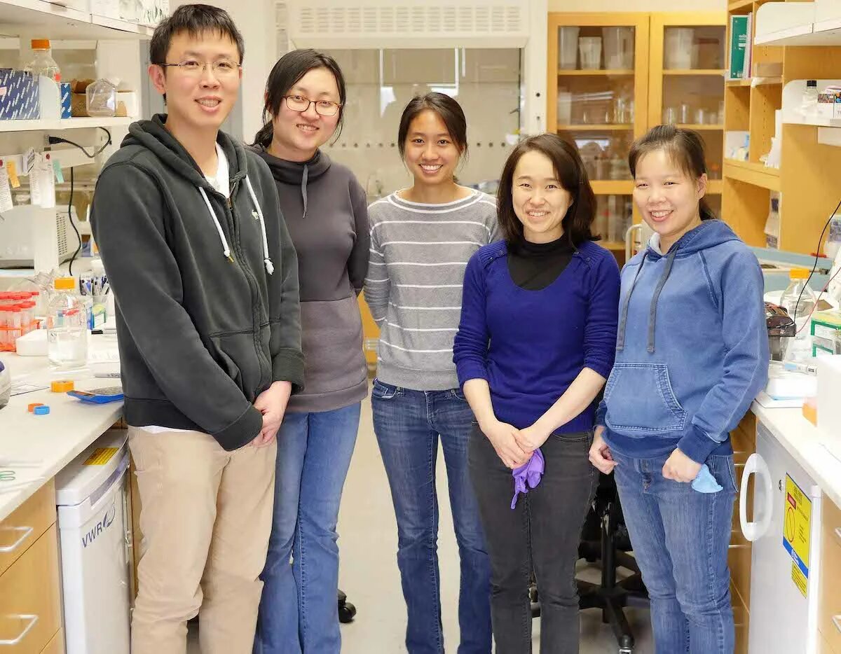 Карта terragroup labs. Lab group. Логотип треугольный известный. Логотипы треугольники известные. Money lab group.