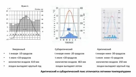 Арктическая климатограмма