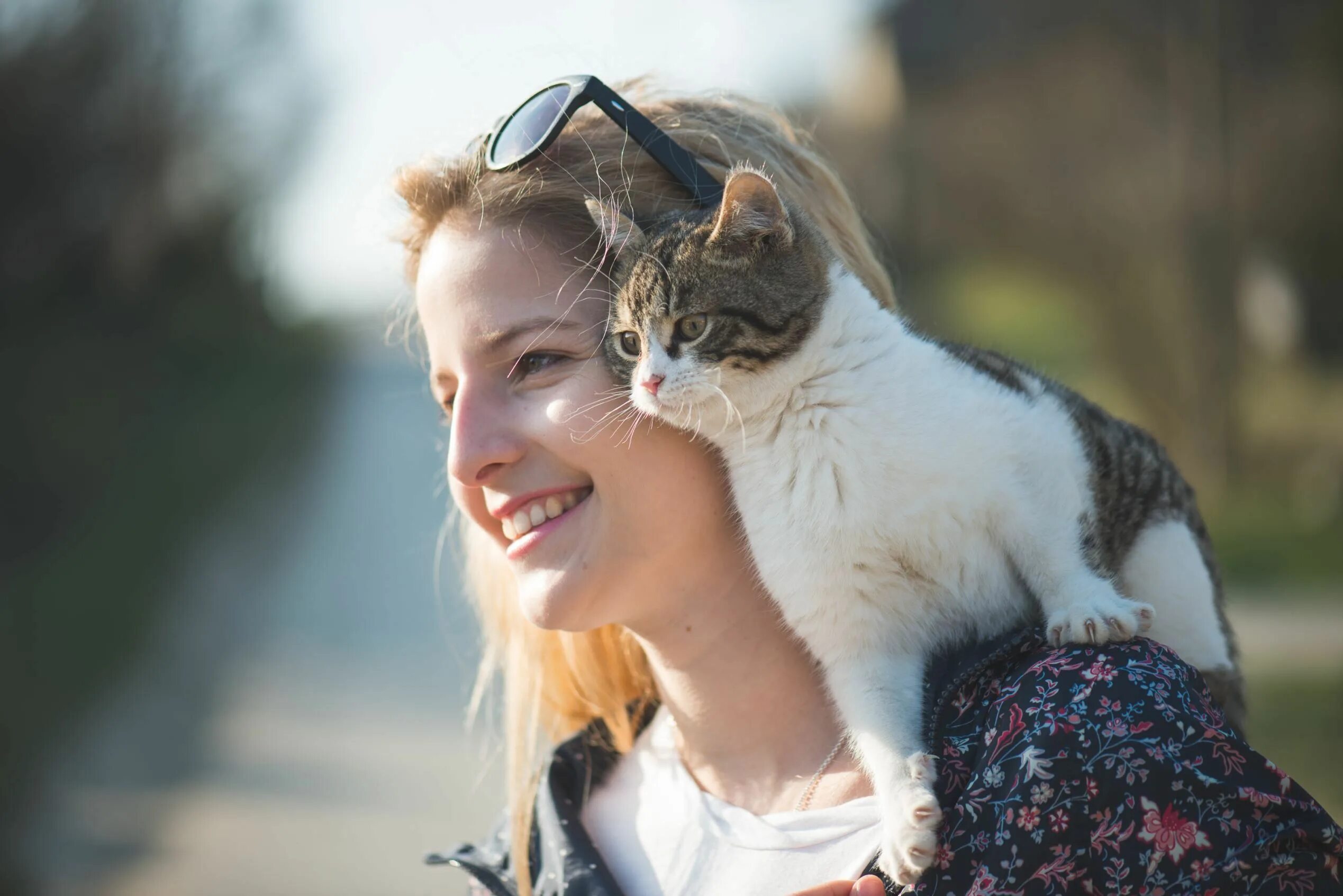 Woman cat песня. Немецкий Кэт. Айлурофилия. Julia and Ashy Cat. Focus best photos.