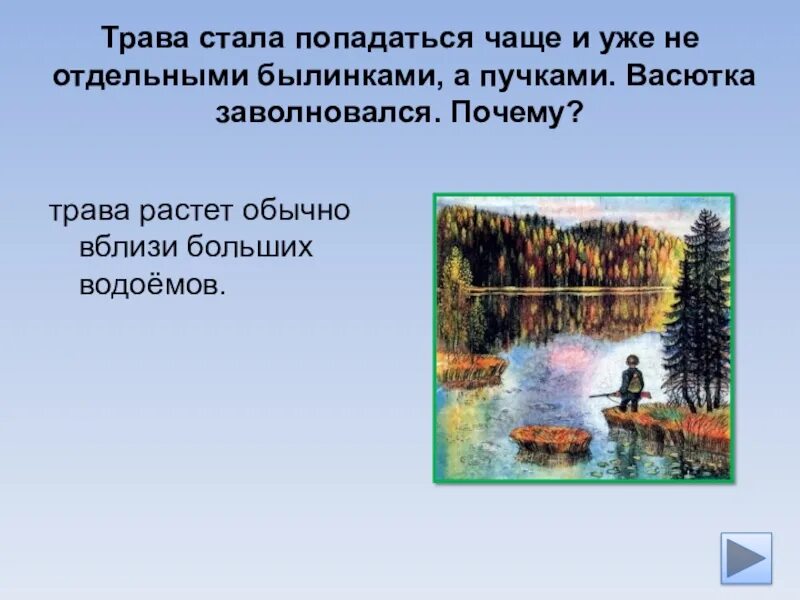 Желтая бороздка лиственного леса которую заметил васютка. Васютка. васютка в лесу. обычно вблизи больших водоемов текст. васютка рисунок.