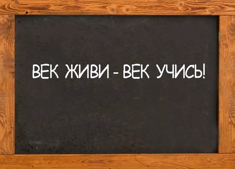 Век жизни век учись. Век живи век учись. Поговорка век живи век учись. Жизнь живи век учись. Век живи век учись цитаты.