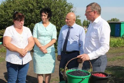 Оконешниково золотая нива