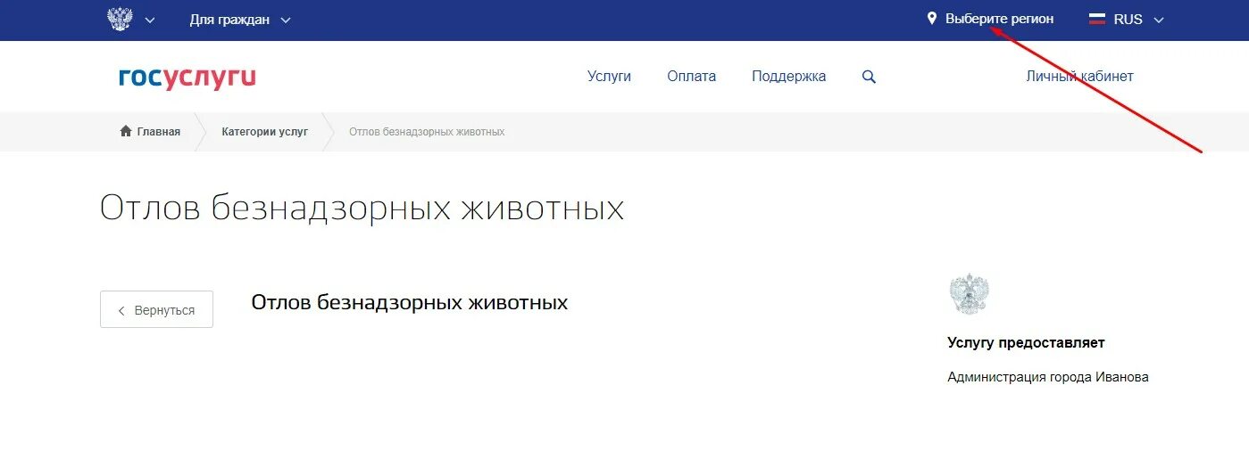 Написать заявление на госуслугах по отлову собак. Как написать заявление на отлов бездомных собак на госуслугах. Образец заявления на отлов бродячих собак в администрацию. Как через госуслуги подать жалобу о безнадхорных собака.