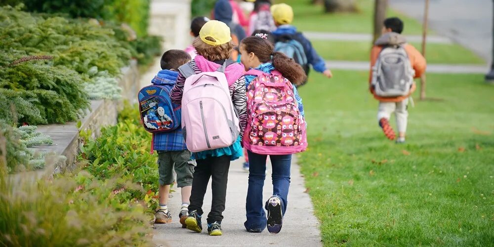 He will go to school. Childrens going to School. Children going to School. Go to School. Картинка walk to School.