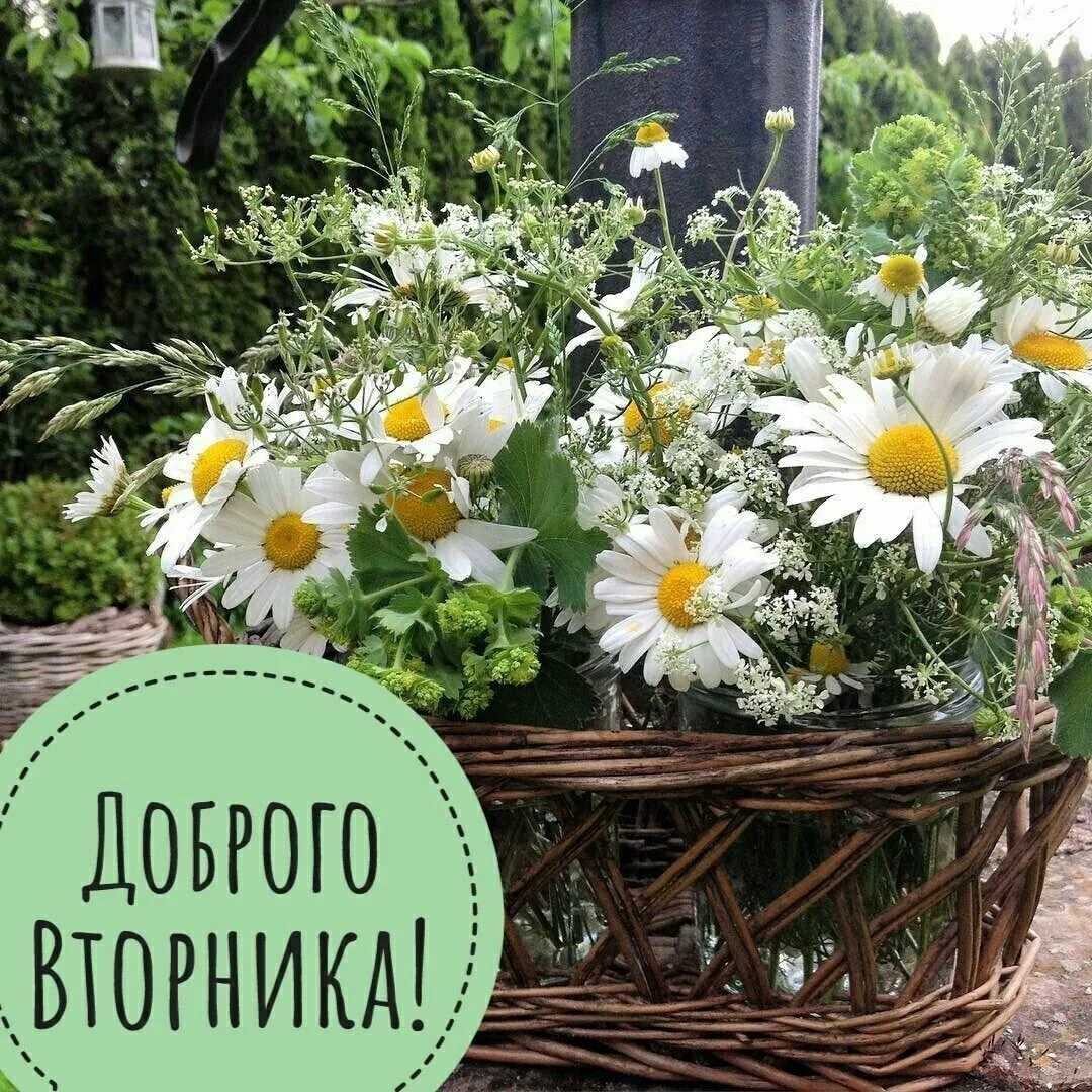 Доброго летнего утра вторника и хорошего дня