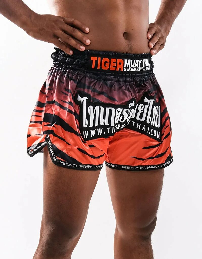 Шорты муай. Шорты Tiger Muay Thai. Тайские шорты Тайгер Муай Тай. Шорты ММА Тайгер Муай Тай. Wilson Муай Тай шорты.