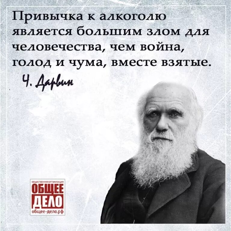 Эйнштейн о ленине цитата. Великие люди. О великом и простом человеке. Цитаты великих людей о жизни. Афоризмы про алкоголизм.
