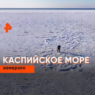 Какое море нашей страны не замерзает