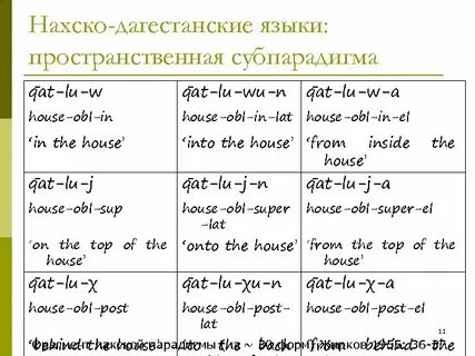 Нахско дагестанские языки к какой семье