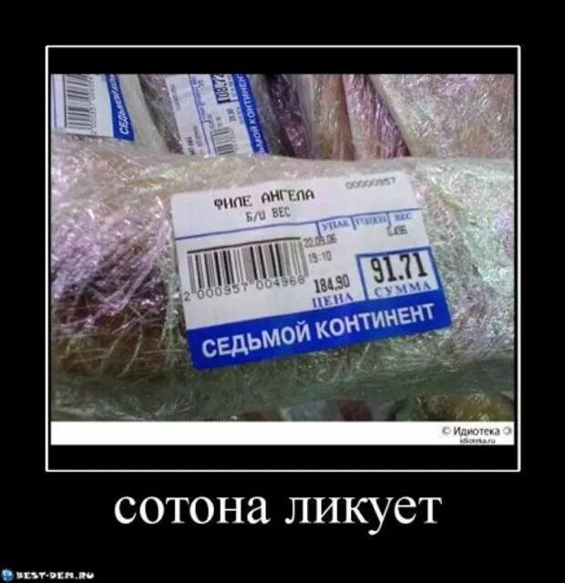 Добавь шутки