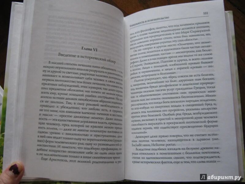 Читать с оттенком помешательства последний шанс. Ломброзо гениальность и помешательство 1902. 50 оттенков безумия. Читать с оттенком помешательства последний шанс. Гениальность и помешательство чезаре ломброзо книга.