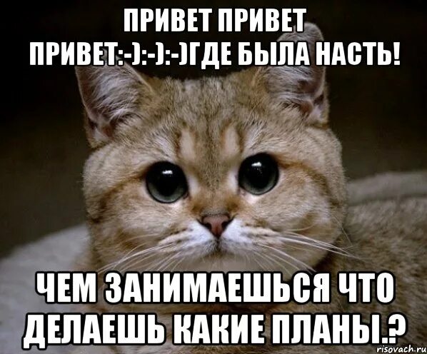 Как ответить на вопрос чем занимаешься мужчине. Привет чем занимаешься. Чем занимаешься картинки. Чем заняться. Чем занята.