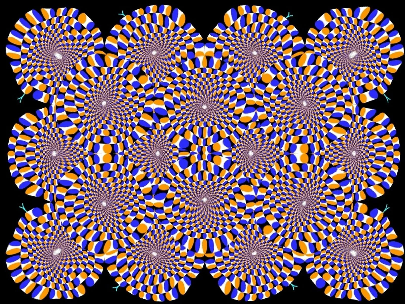 Видео для глаз для улучшения. Акиоши Китаока иллюзия. Иллюзия Акиоши Китаока вращающийся змей. Оптические иллюзии стереокартинки. Оптические иллюзии для глаз стереограммы.