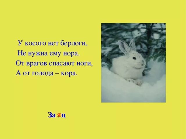 Что не помогает зайцу спасаться от врагов. У косого нет берлоги не нужна ему нора. у косого нет берлоги, не нужна ему нора: от врагов спасают ноги. у косого нет берлоги не нужна ему нора от врагов. придумать стих у косого нет берлоги.