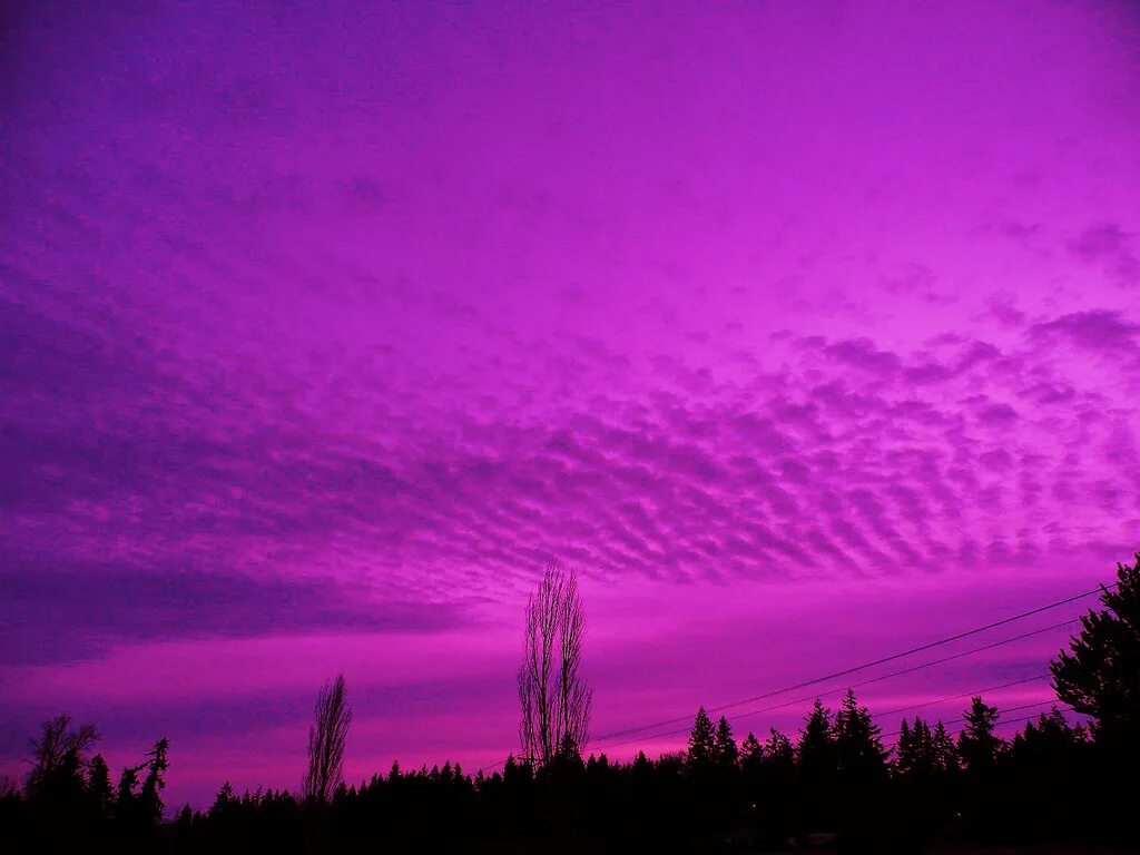 Фиолетовое небо. Фиолетовое облако. Красивое фиолетовое небо. Сиреневое небо.