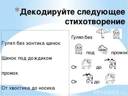 Гулял без зонтика щенок