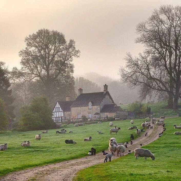Countryside style