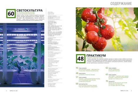 Каталог семена заказ на 2024