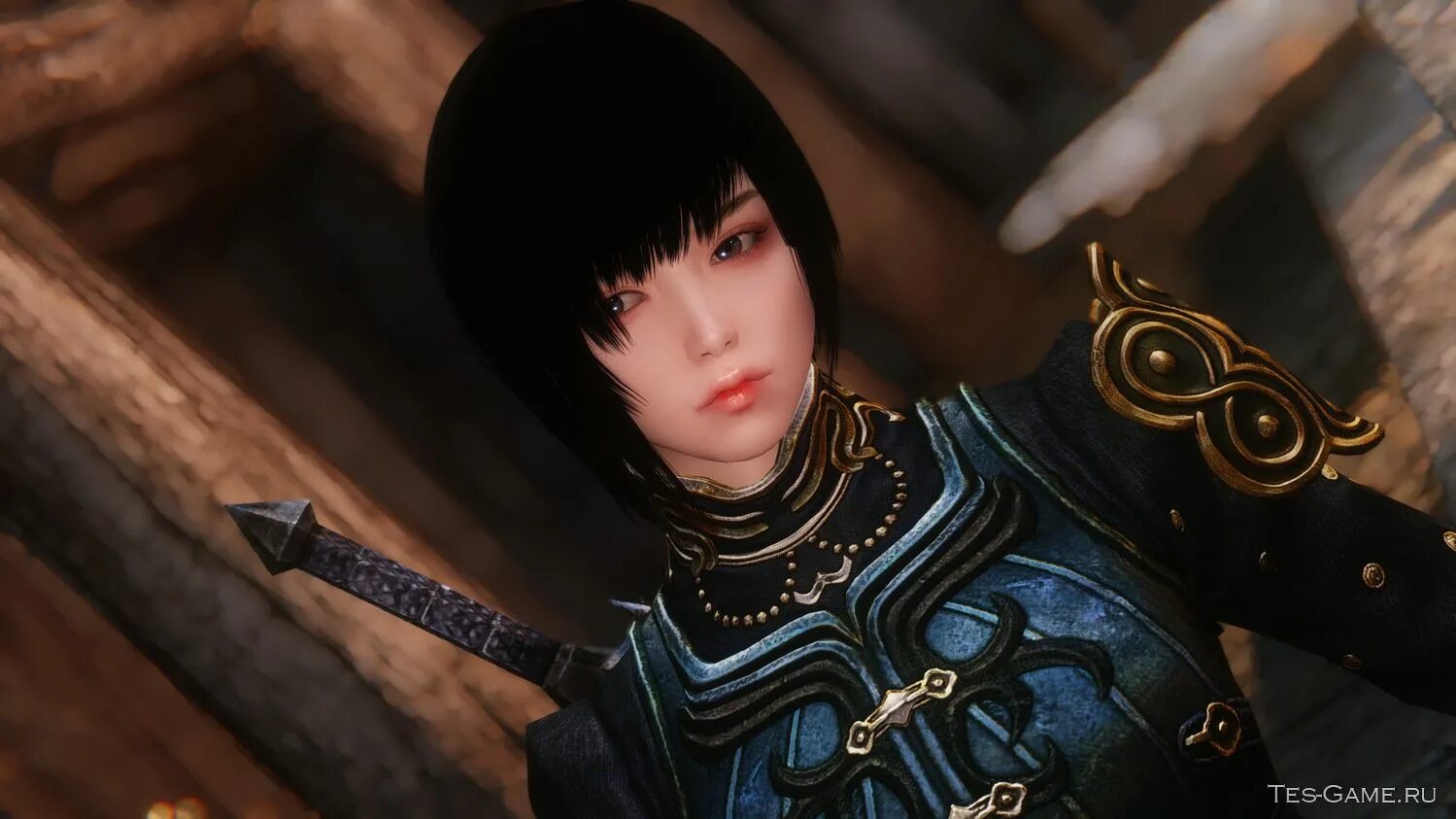 Skyrim компаньон ариэль. Скайрим компаньонка диана. Компаньон 7 букв. Компаньонка виктория велина. Sunsakuka's ambra.