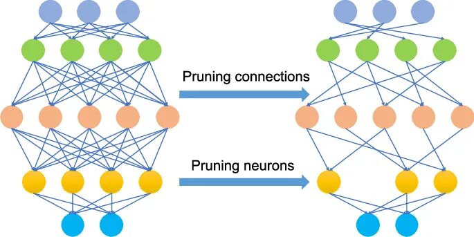 Pytorch neural networks. Нейронный прунинг. neural network example pytorch. ягоды в нейросети. weakly connected neural networks.