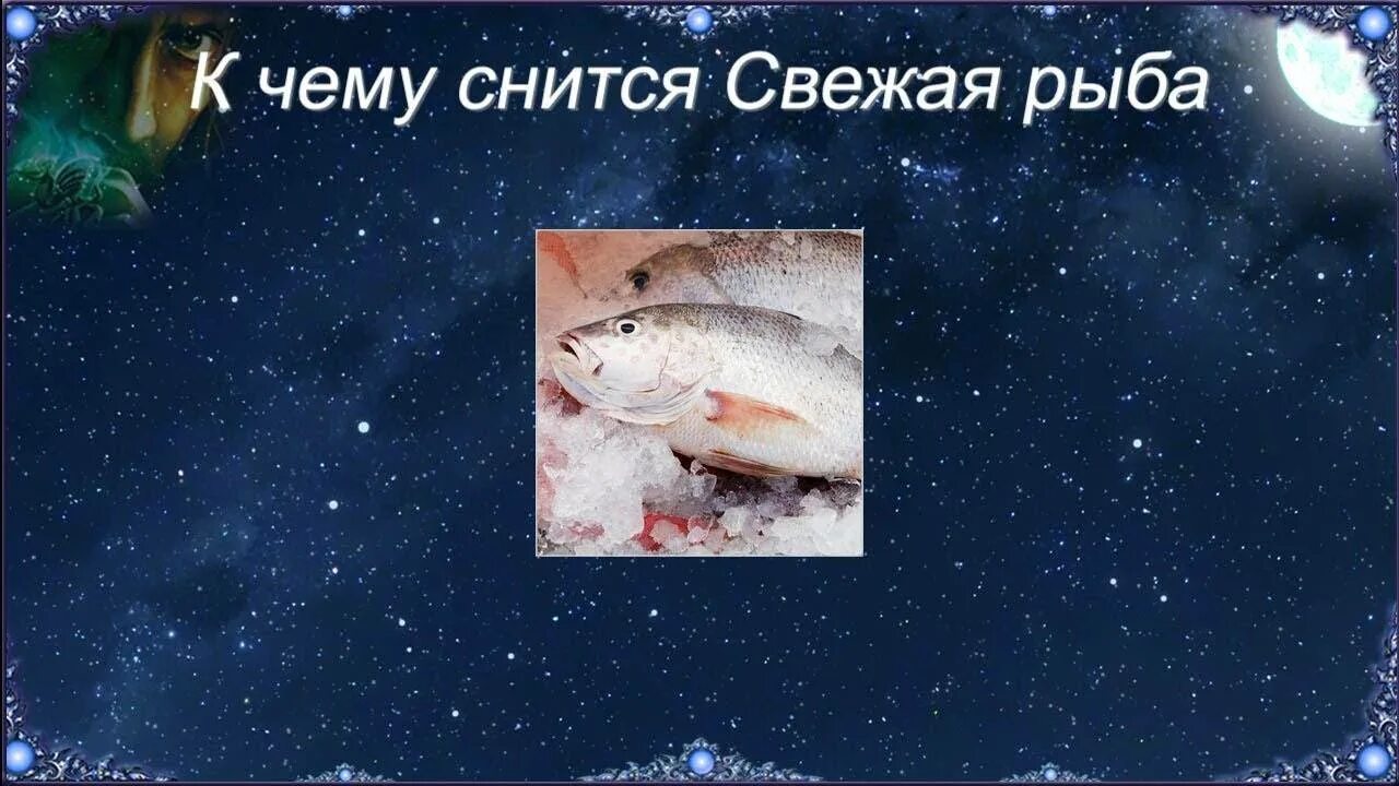 Сон мертвые рыбки. К чему снится рыба. К чему снится рыба во сне. Приснилась рыба женщине. Если снится рыба женщине.