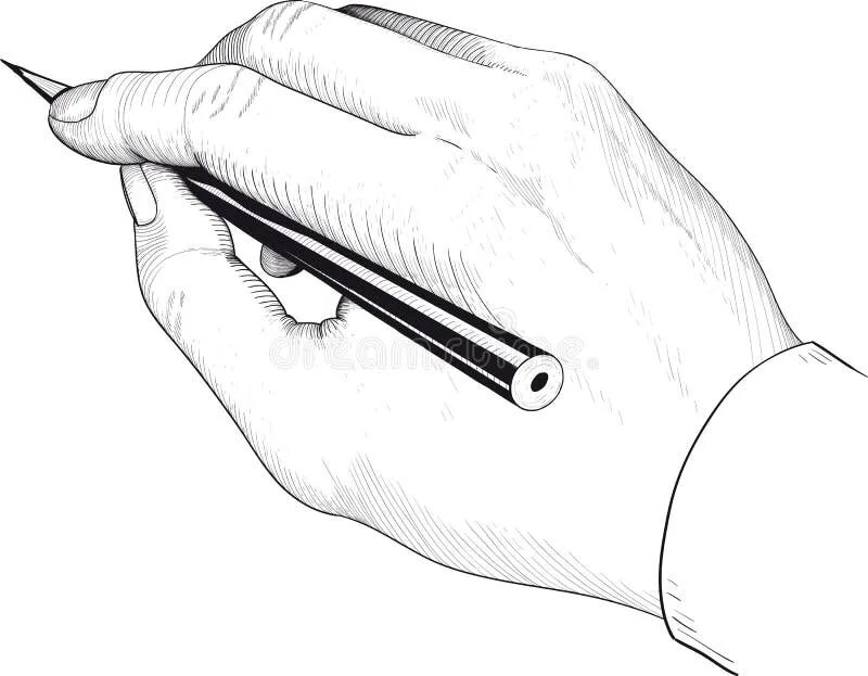 Шерсть чертеж в карандаше. Рука с карандашом на белом фоне. Подчеркивание карандашом. Линия от карандаша. Обычно карандаш.