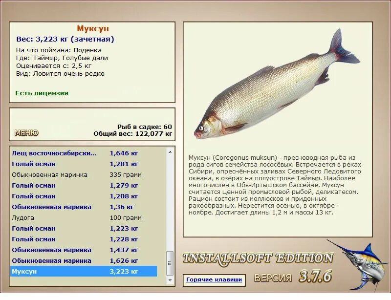 обыкновенный судак sander lucioperca. морская рыба названия. Lucioperca lucioperca. осетр семейство осетровых. ценная промысловая рыба 8 букв сканворд.