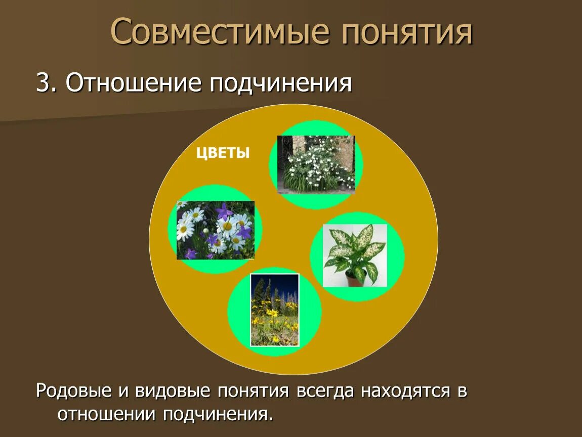 Родовым понятием является. Родовые и видовые понятия. Родовое и видовое понятие примеры. Видовое и родовое понятие цветы. Родовое и видовое понятие схема.