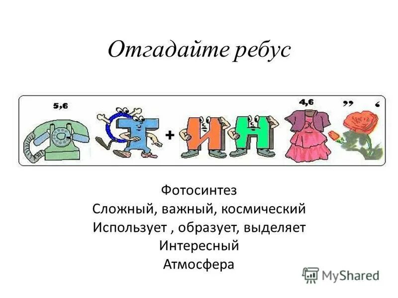 Отгадай информацию