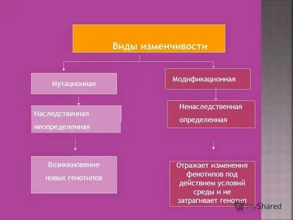 Случайное изменение генотипа это