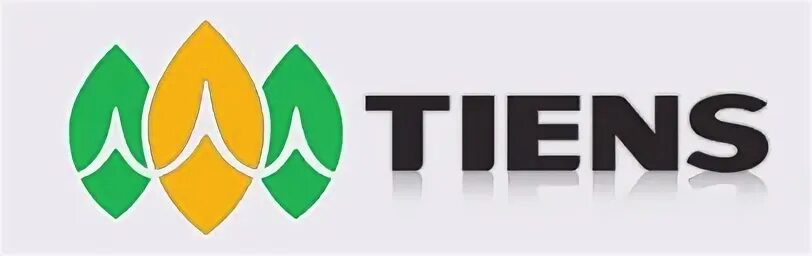 Димп тиенс информационно дистрибьюторская
