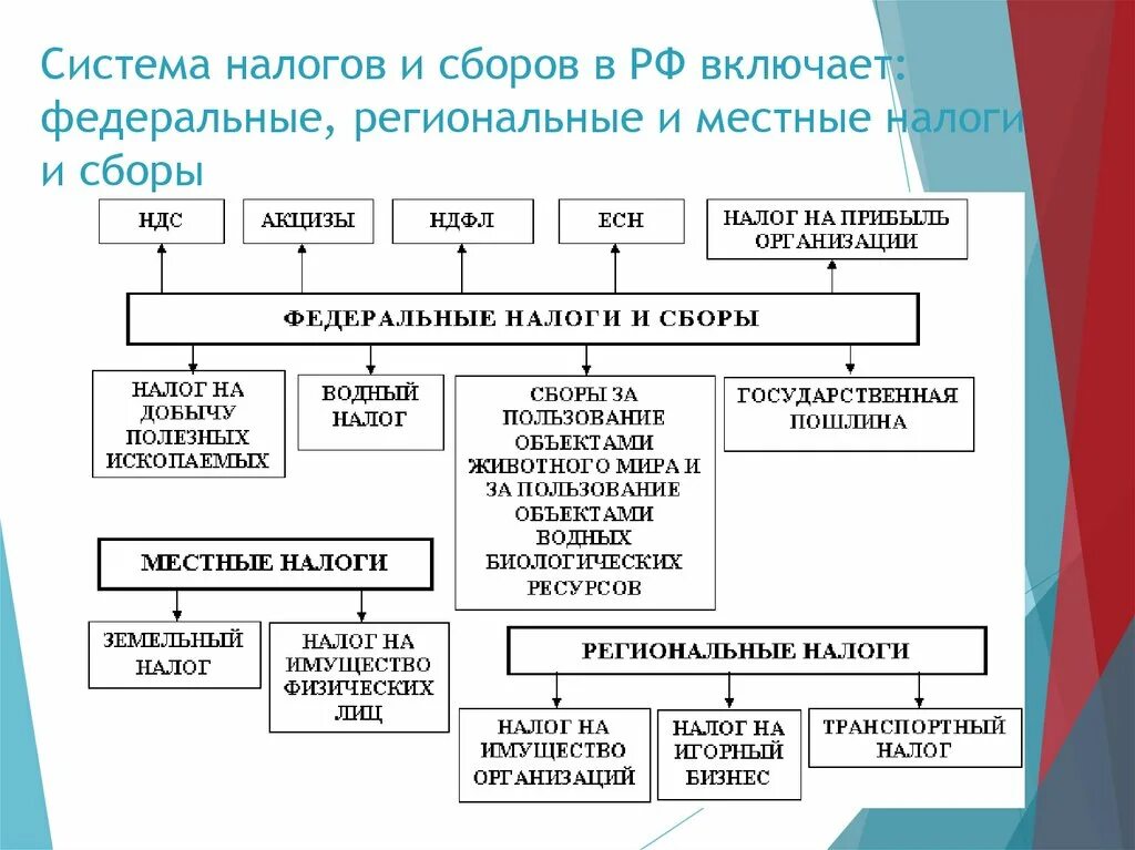 Система налогов и сборов в РФ схема. Налоги РФ схема. Виды федеральных региональных и местных налогов и сборов. Виды налогов и сборов в РФ таблица. Налоги и сборы группы налогов