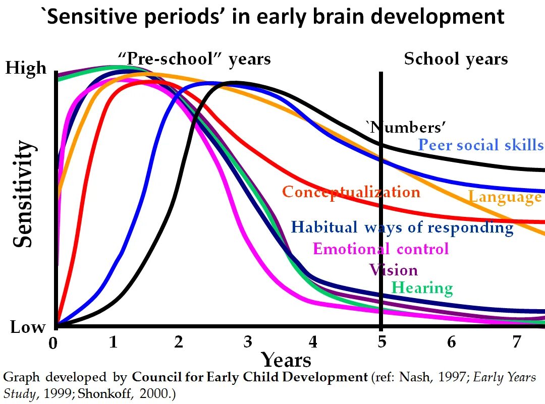 Periods of childhood. Periods of Human Development. Research in the early years. Social Development of a Preschool child таблица. Age periods